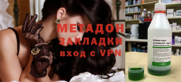 прущие грибы Горняк