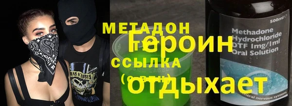 прущие грибы Горняк