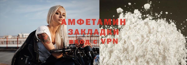 прущие грибы Горняк
