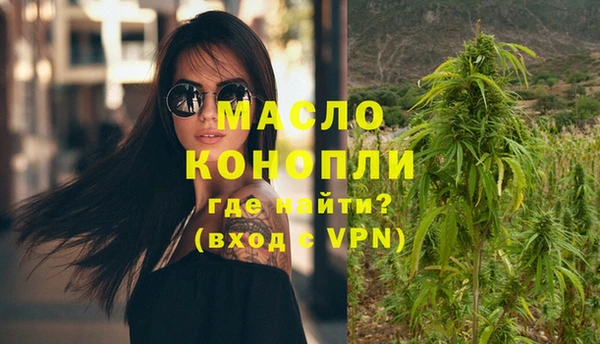 прущие грибы Горно-Алтайск