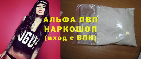 прущие грибы Горняк