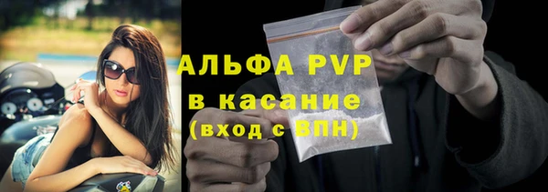 прущие грибы Горно-Алтайск