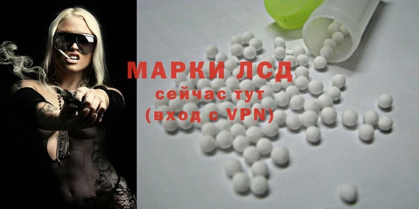 прущие грибы Горно-Алтайск