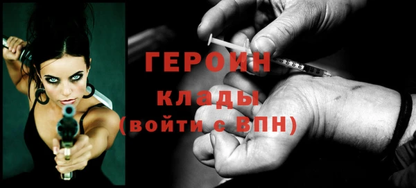 прущие грибы Горно-Алтайск