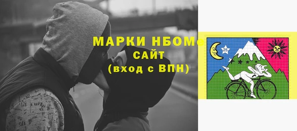 прущие грибы Горно-Алтайск