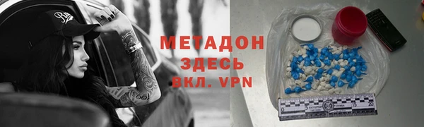 прущие грибы Горно-Алтайск