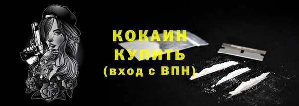 прущие грибы Горняк