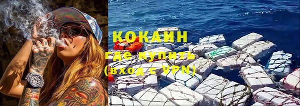 прущие грибы Горно-Алтайск