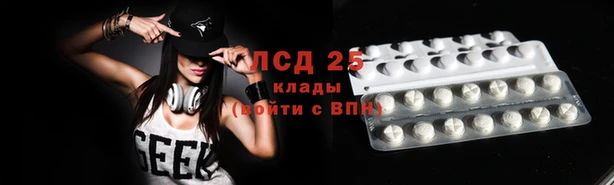 прущие грибы Горняк