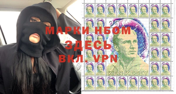 прущие грибы Горно-Алтайск
