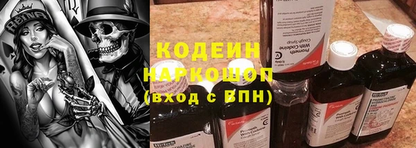 прущие грибы Горняк