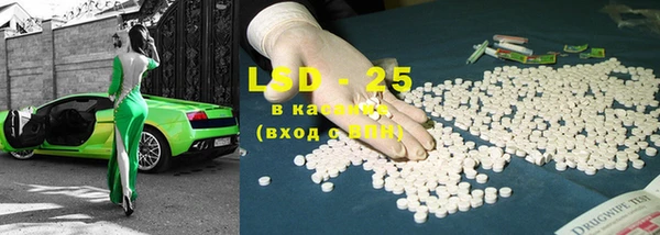 прущие грибы Горняк