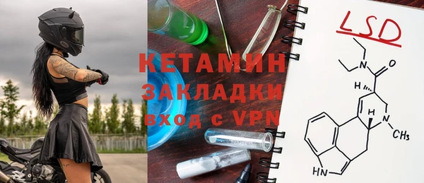 прущие грибы Горно-Алтайск