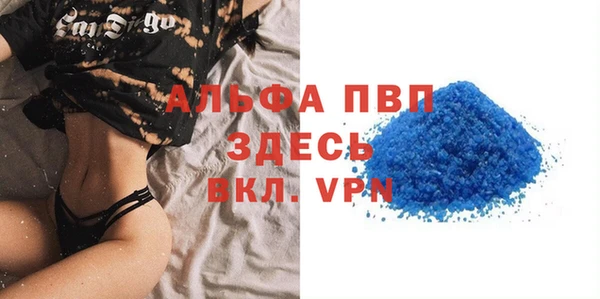 прущие грибы Горняк