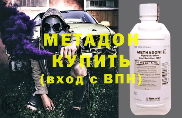 прущие грибы Горно-Алтайск