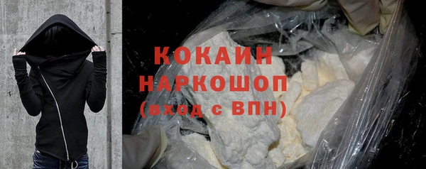 прущие грибы Горняк